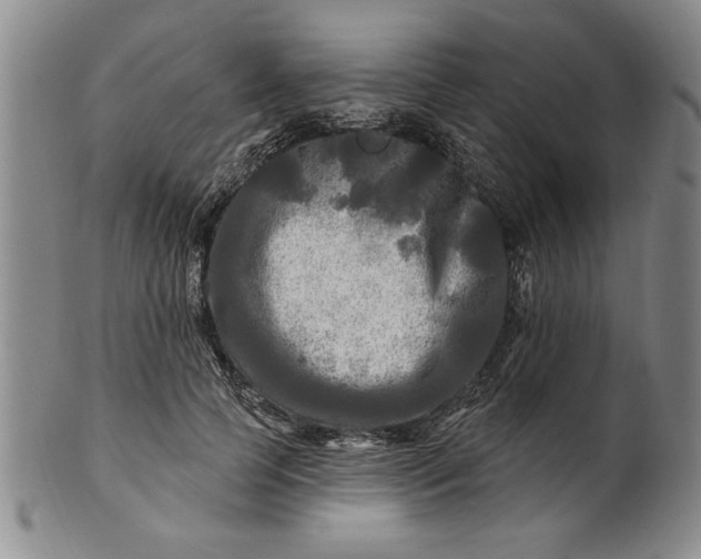 X0000100970745200807081219