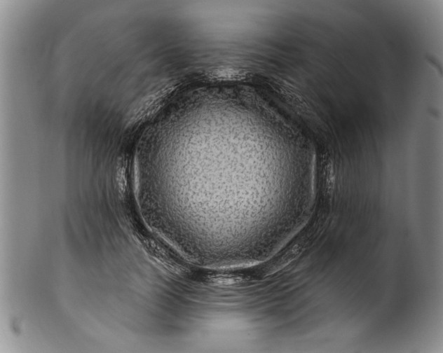 X0000100970746200807081219