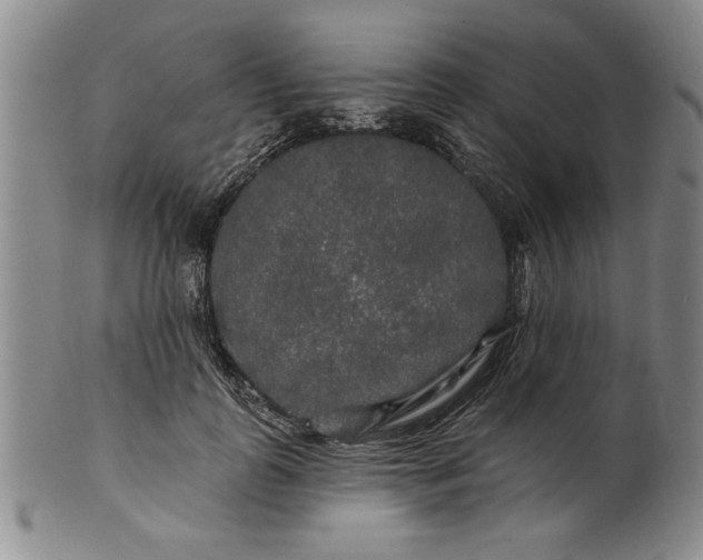 X0000100970747200807081219