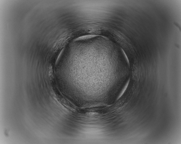 X0000100970748200807081219