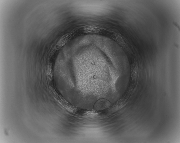 X0000100970749200807081219
