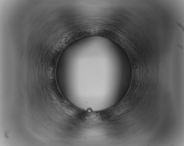 X0000100970750200807081219