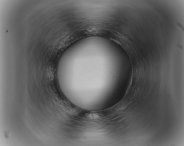 X0000100970751200807081219