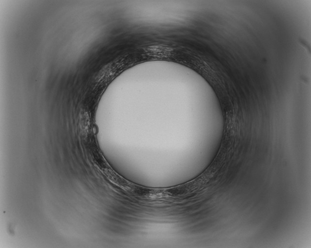 X0000100970752200807081219
