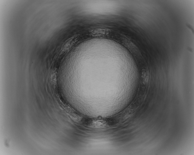 X0000100970753200807081219