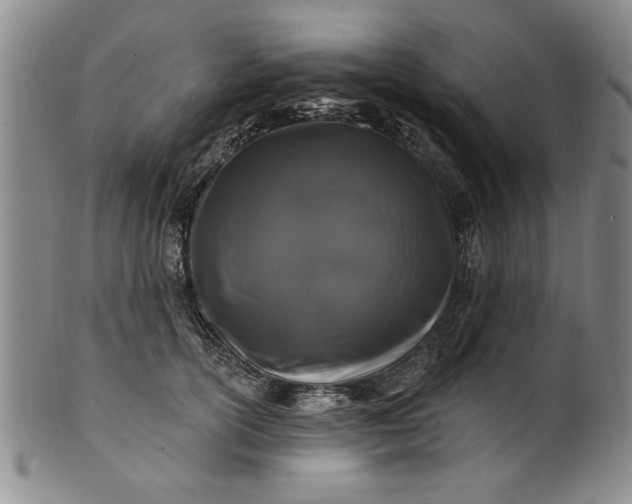 X0000100970754200807081219