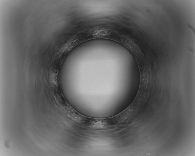 X0000100970755200807081219