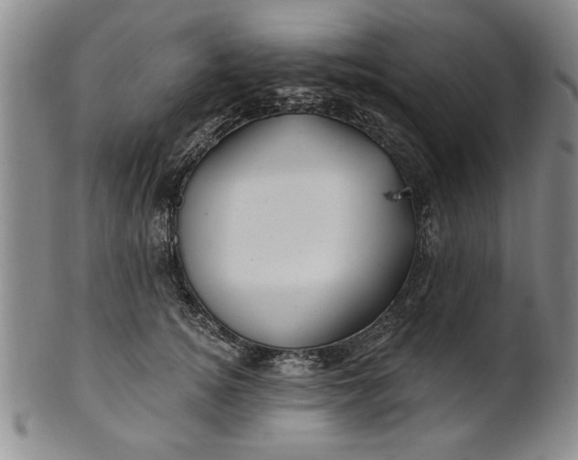 X0000100970756200807081219
