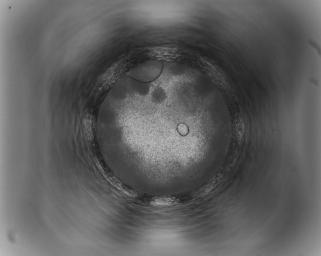 X0000100970757200807081219