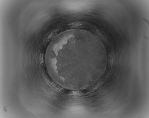 X0000100970758200807081219