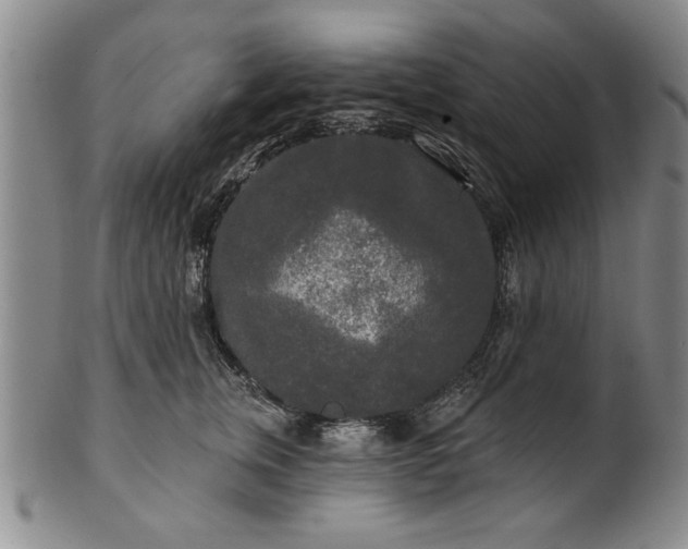 X0000100970759200807081219
