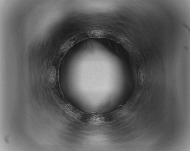 X0000100970760200807081219