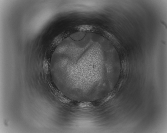X0000100970761200807081219