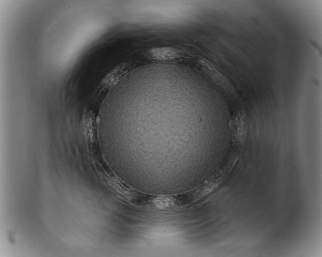 X0000100970762200807081219