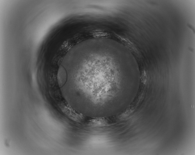 X0000100970763200807081219