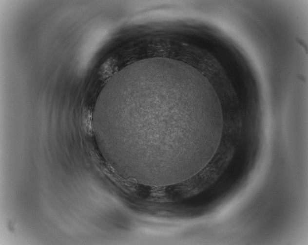 X0000100970766200807081219