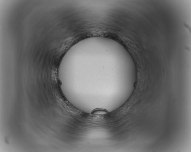 X0000100970768200807081219