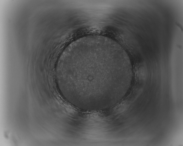 X0000100970769200807081218