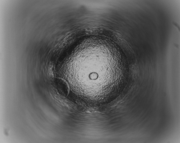 X0000100970770200807081218