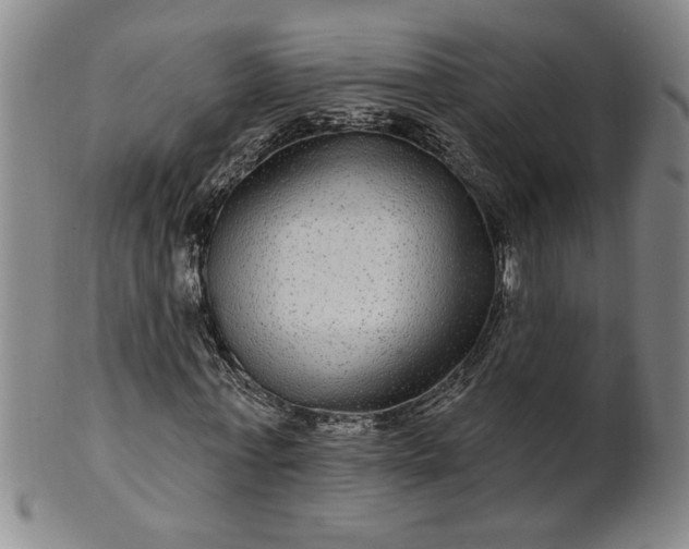 X0000100970771200807081218