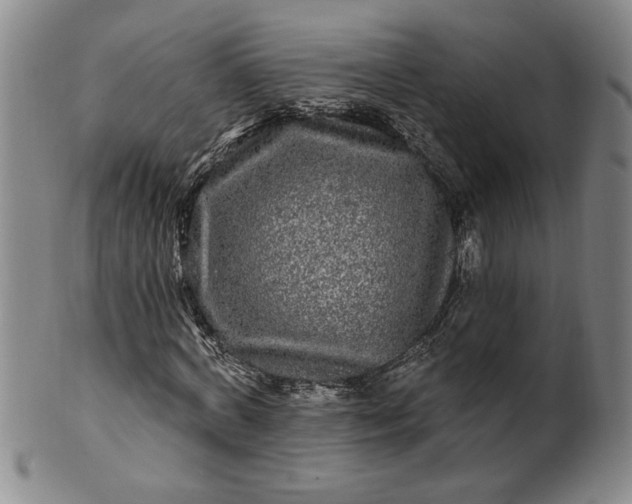 X0000100970772200807081218