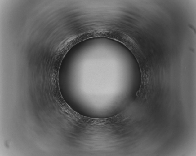 X0000100970773200807081218