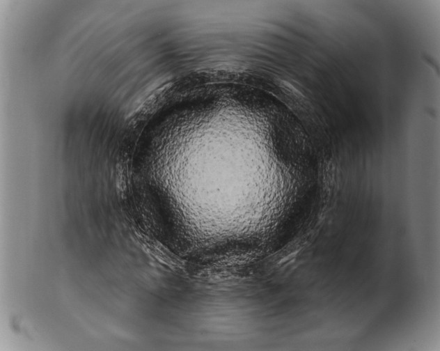 X0000100970774200807081218