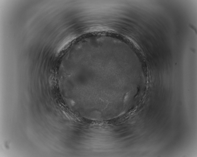 X0000100970775200807081218