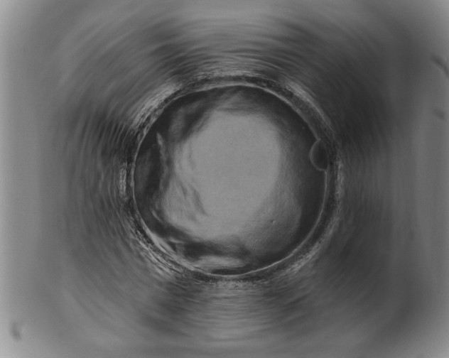 X0000100970777200807081218