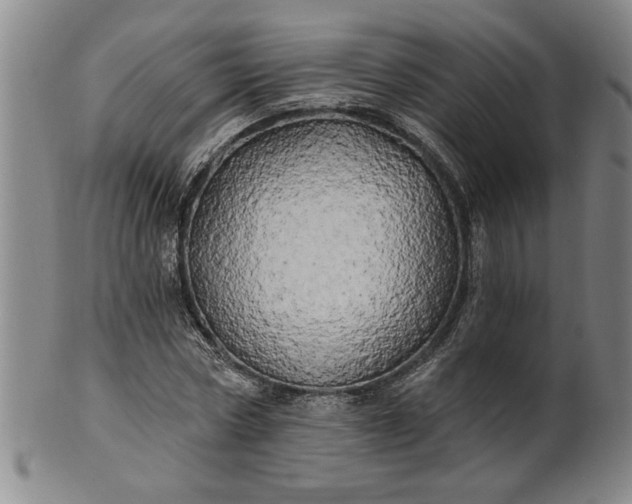 X0000100970778200807081218