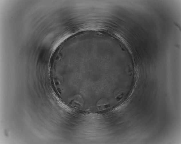 X0000100970779200807081218