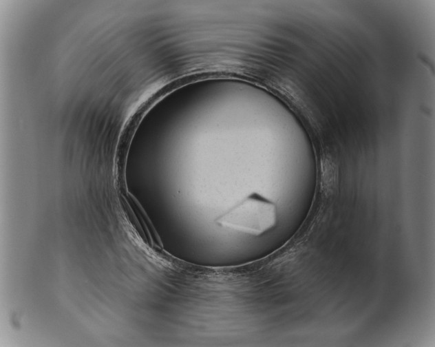 X0000100970780200807081218