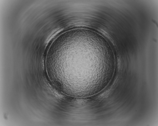 X0000100970782200807081218