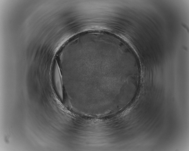 X0000100970783200807081218