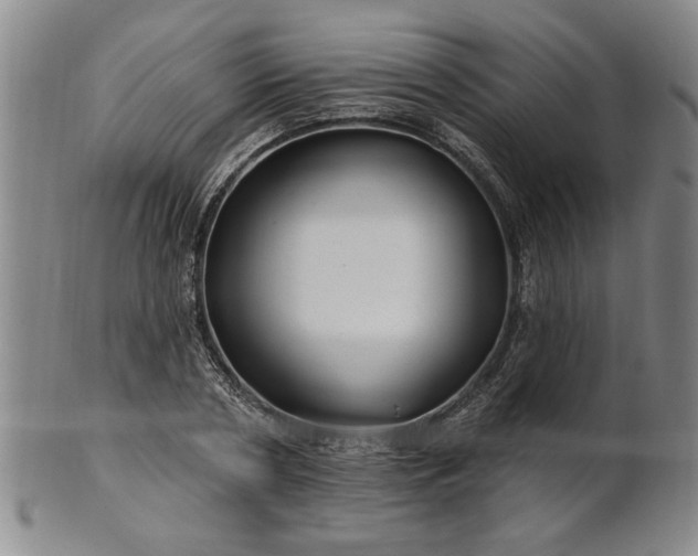 X0000100970786200807081218