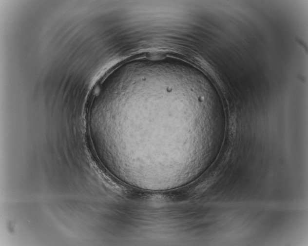X0000100970787200807081218
