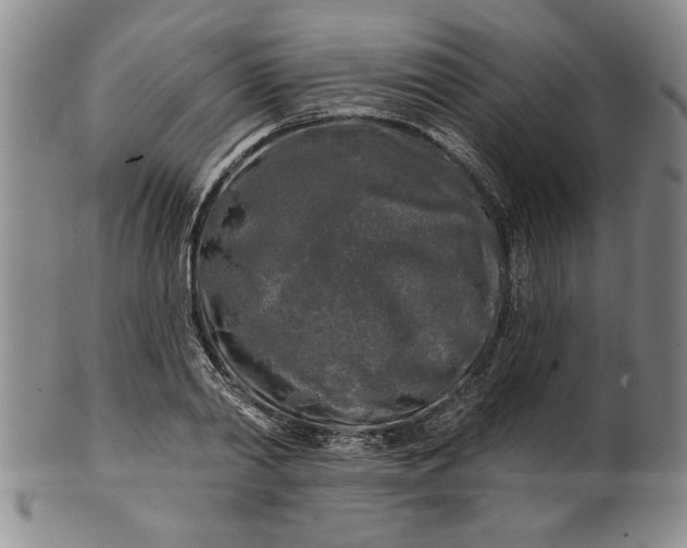 X0000100970790200807081218