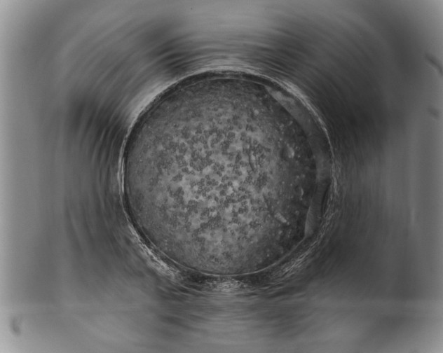 X0000100970791200807081218