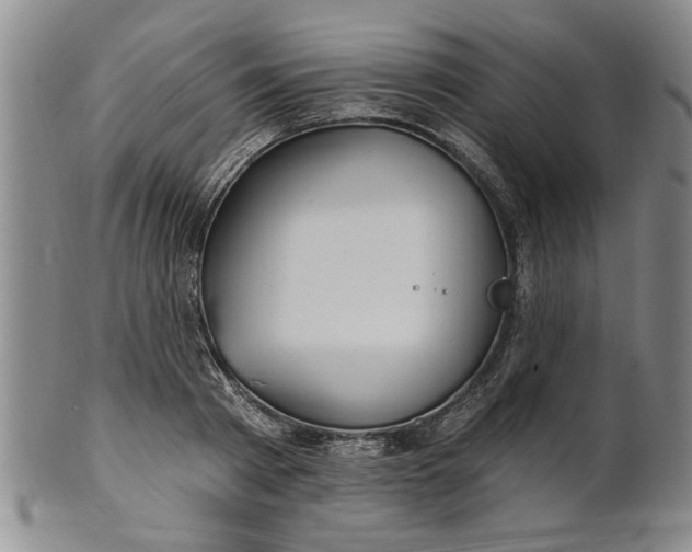 X0000100970793200807081218
