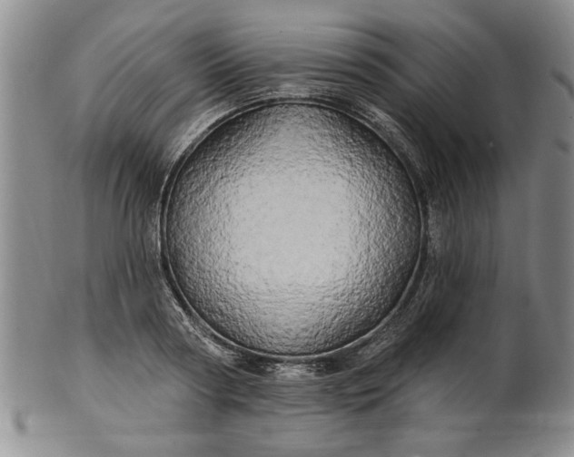X0000100970794200807081218