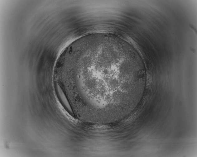 X0000100970795200807081218
