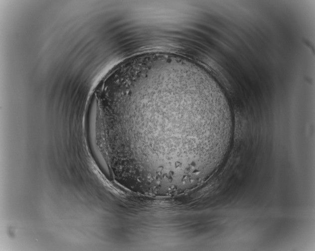 X0000100970796200807081218