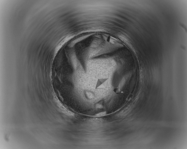 X0000100970797200807081218