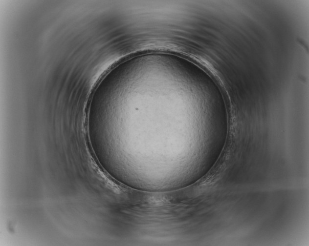 X0000100970799200807081218