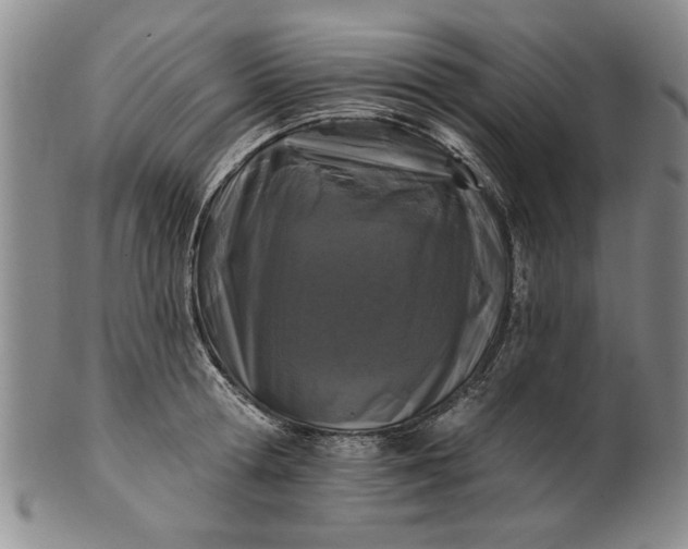X0000100970802200807081218