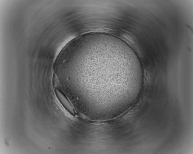 X0000100970804200807081218