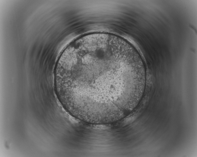 X0000100970807200807081218