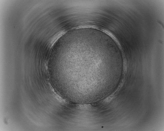 X0000100970809200807081218