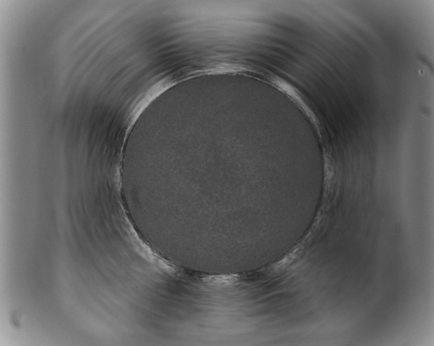 X0000100970810200807081218