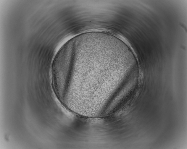X0000100970811200807081218